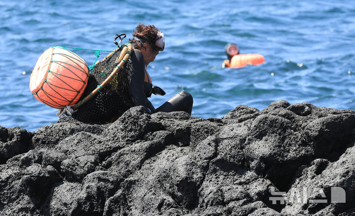 [서귀포=뉴시스] 지난 7월8일 오전 제주 서귀포시 법환동 범섬 앞바다에서 물질을 마친 해녀가 테왁을 챙겨 뭍으로 나오고 있다. (사진=뉴시스 DB). photo@newsis.com 