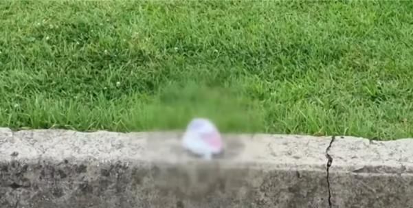 [뉴시스] 경복궁 내 무단 투기된 기저귀. (출처=JTBC '사건반장') *재판매 및 DB 금지