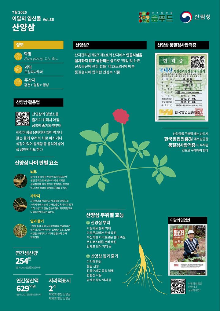 [대전=뉴시스] 7월 이달의 임산물로 선정된 '산양삼'.(사진=산림청 제공) *재판매 및 DB 금지