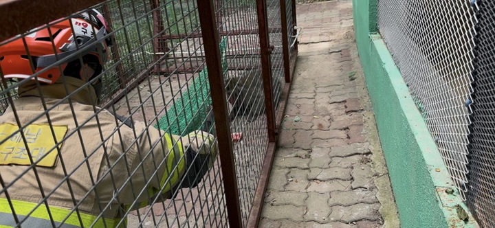 [해남=뉴시스] 12일 오후 전남 해남군 흑석산 자연휴양림 내 원숭이체험관에서 사육 중인 원숭이 1마리가 우리에서 탈출해 소방 당국이 포획을 시도하고 있다. (사진=해남 소방 제공) 2025.07.16. photo@newsis.com *재판매 및 DB 금지