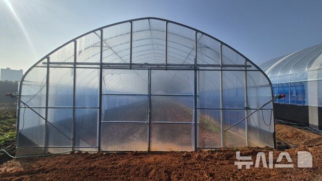 [안성=뉴시스] 고추비가림시설 모습 (사진=안성시 제공) 2025.07.16.photo@newsis.com 