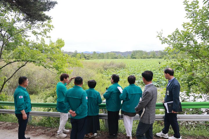 [창녕=뉴시스] 창녕군의회 의원들이 우포늪과 사지포 연꽃군락지를 살펴보고 있다. (사진= 창녕군의회 제공) 2025.07.16. photo@newsis.com *재판매 및 DB 금지