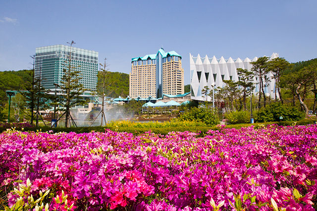 강원랜드 그랜드호텔 전경.(사진=뉴시스) *재판매 및 DB 금지