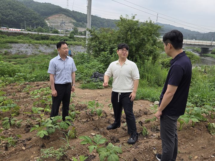 [세종=뉴시스] 농촌진흥청은 16일 충북 제천시 송학약초영농조합을 찾아 고온기 약용작물 기상재해 대응 기술지원을 실시했다고 밝혔다. (사진=농진청 제공) 2025.07.16. photo@newsis.com *재판매 및 DB 금지