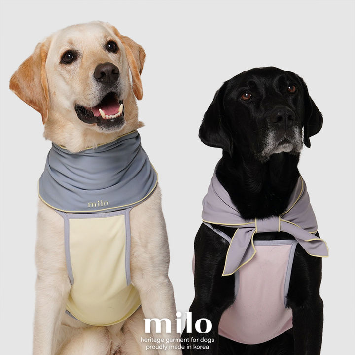 (사진=마일로 도그웨어 제공) *재판매 및 DB 금지