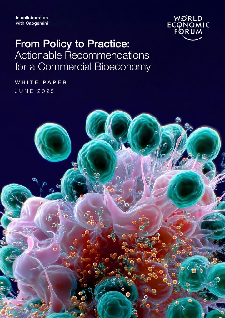 [서울=뉴시스] 세계경제포럼(WEF) 보고서 'From Policy to Practice: Actionable Recommendations for a Commercial Bioeconomy' 표지 (사진=보고서 갈무리) 2025.07.17. photo@newsis.com *재판매 및 DB 금지
