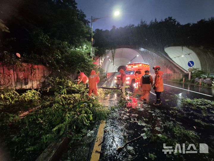 [인천=뉴시스] 16일 오후 인천 부평구 산곡동 한 고등학교 인근에서 호우로 인해 가로수가 쓰러졌다. (사진=인천소방본부 제공) 2025.07.16. photo@newsis.com