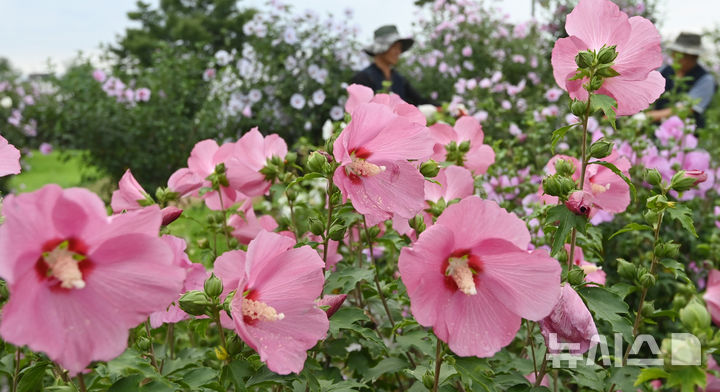 [수원=뉴시스] 해당 사진은 기사 내용과 관련이 없습니다. (사진=뉴시스 DB). photo@newsis.com
