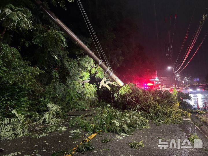 [청주=뉴시스] 16일 충북 청주시 흥덕구 옥산면의 한 도로에서 전봇대가 쓰러져 소방당국이 안전 조치를 하고 있다. (사진= 청주서부소방서 제공) 2025.07.17. photo@newsis.com&nbsp; *재판매 및 DB 금지