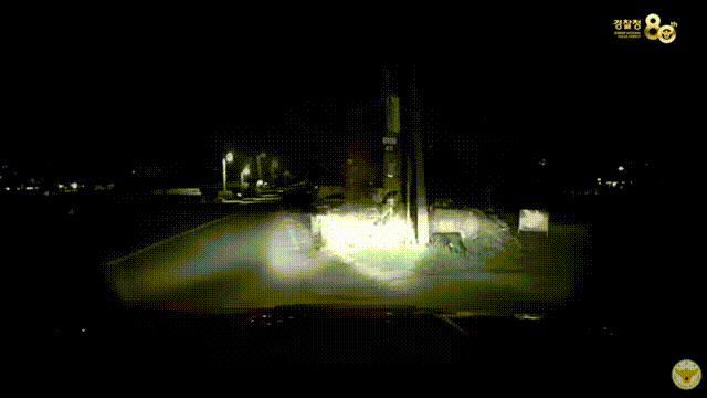 [서울=뉴시스] 지난 4월 경기도 화성시에서 경찰은 끈질긴 추격 끝에 불법체류자를 검거와 마약 압수에 성공했다. (영상=유튜브 채널 '대한민국 경찰청' 캡처) 2025.07.17 *재판매 및 DB 금지