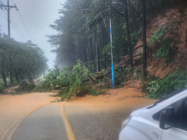 [산청=뉴시스] 서희원 기자= 경남 산청군 신안면 윈지에서 진주 방향 일반도로에 산사태로 인해 교통이 두절돼 차량이 뒤돌아 가고 있다. 2025. 07. 08. shw1881@newsis.com *재판매 및 DB 금지