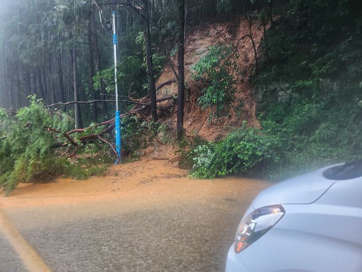 [산청=뉴시스] 서희원 기자= 경남 산청군 신안면 윈지에서 진주 방향 일반도로에 산사태로 나무가 넘어져 있다. 2025. 07. 08. shw1881@newsis.com *재판매 및 DB 금지