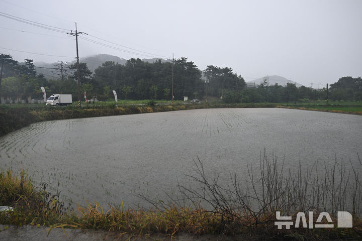 [광주=뉴시스] 박기웅 기자 = 사진은 호우경보가 내려진 지난 17일 오후 광주 서구 서창동 서창교 인근 논이 쏟아진 비에 침수돼 있는 모습. 2025.07.17. pboxer@newsis.com