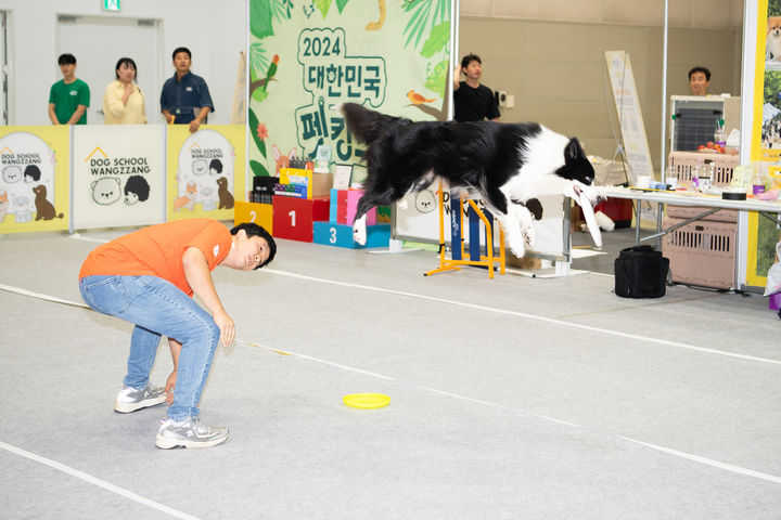 [구미=뉴시스] 대한민국 펫캉스. (사진=구미시 제공) 2025.07.18 photo@newsis.com *재판매 및 DB 금지