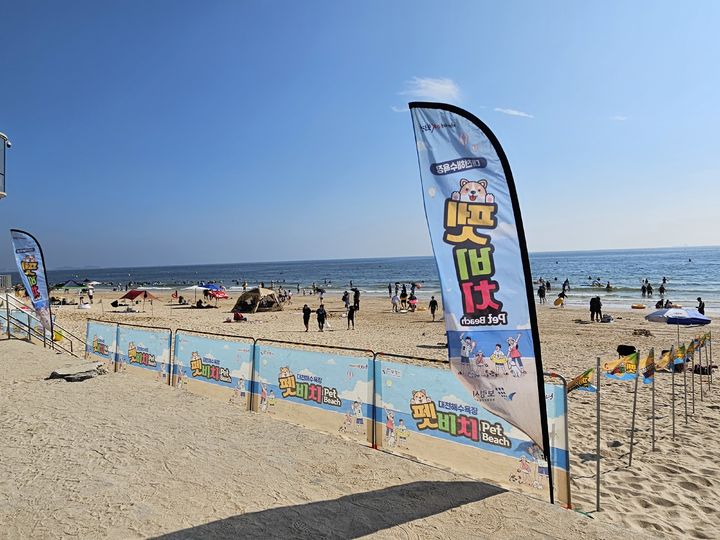 [보령=뉴시스] 대천해수욕장 펫비치 모습. (사진=보령시청 제공) *재판매 및 DB 금지