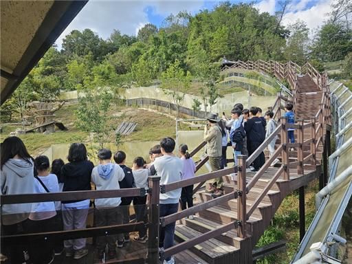  [영주=뉴시스] 청소년사회성증진 프로그램 참여 학생들이 멸종위기종인 여우를 관찰하고 있다. (사진=소백산생태탐방원 제공) 2025.07.18. photo@newsis.com *재판매 및 DB 금지