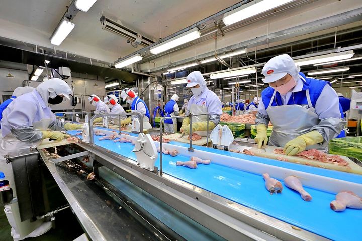 하림 익산공장 현장 직원들이 부분육 정선-발골 작업을 하고 있다. 2025.07.18. (사진=하림 제공) *재판매 및 DB 금지