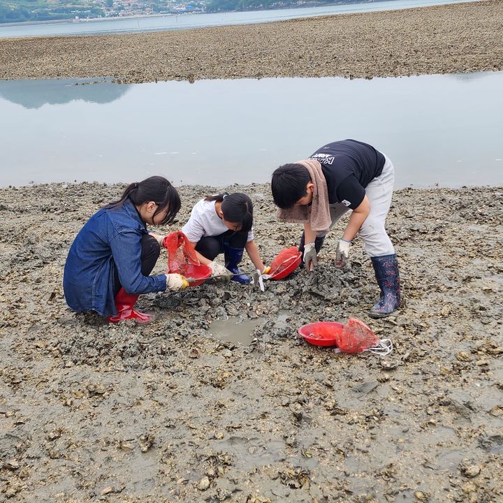 [무안=뉴시스] 전남 한 농촌체험휴양마을 갯벌체험. (자료사진 제공 = 전남도). 2025.07.18. photo@newsis.com *재판매 및 DB 금지