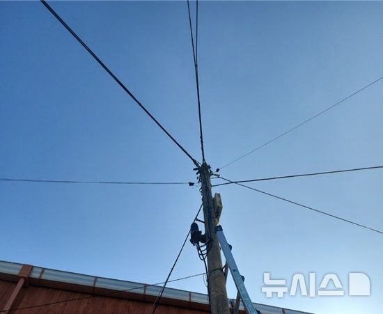 [서울=뉴시스] 공중케이블 정비 후.