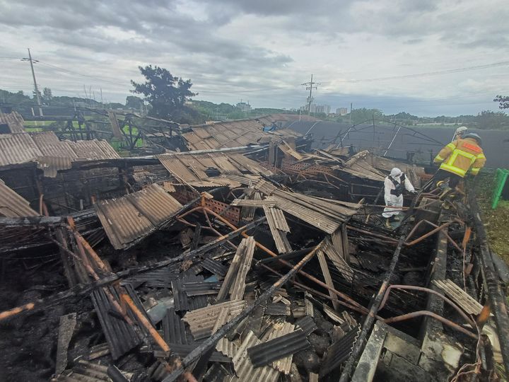 [논산=뉴시스] 18일 오전 6시57분께 충남 논산시 연무읍 동산리의 한 돼지농장에서 난 불이 진화된 후 소방대원이 현장에서 화재원인을 조사하고 있다. (사진=청양소방서 제공) 2025.07.18. photo@newsis.com *재판매 및 DB 금지