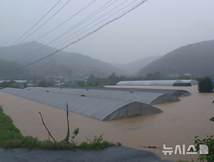 [진주=뉴시스] 정경규 기자 = 19일 오후 경남 진주시 대곡면 덕곡리 비닐하우스 단지가 하천 범람으로 침수됐다. 2025.07.19.jkgyu@newsis.com