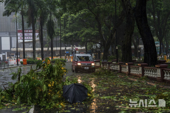 [홍콩=AP/뉴시스] 20일(현지 시간) 홍콩을 강타한 제6호 태풍 위파 영향으로 도로에 나무가 쓰러져 있다. 2025.07.22.