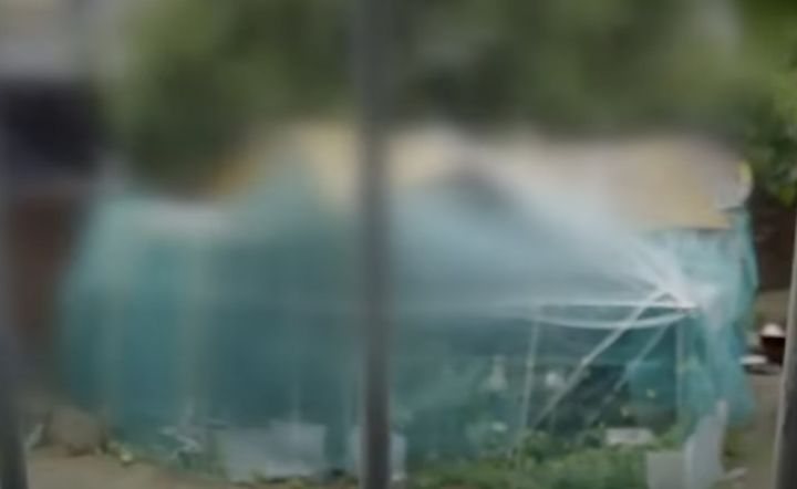 [서울=뉴시스] 서울 강남의 한 주택가에서 닭을 기르는 이웃 때문에 새벽 4시부터 소음에 시달린다는 한 주민의 사연이 전해졌다. 사진은 해당 이웃의 주택 내 설치된 닭장 모습. (사진 = 'JTBC News' 유튜브 캡처) 2025.07.20. *재판매 및 DB 금지