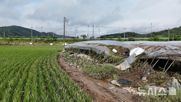 [의령=뉴시스] 차용현 기자 = 사진은 지난 20일 오전 경남 의령군 대의면 구성마을 인근 비닐하우스가 폭우로 비닐이 찢겨지고 골조가 뒤틀려 있는 모습. 2025.07.20.con@newsis.com