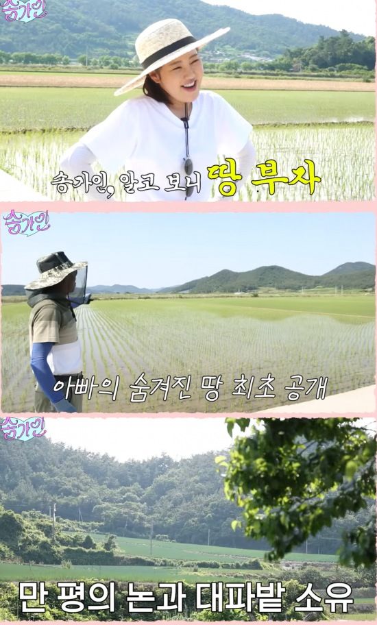 [서울=뉴시스] 가수 송가인이 고향 진도의 논밭을 공개하며 "우리 집이 땅부자였다"고 너스레를 떨었다. (사진=유튜브 채널 '송가인' 캡처) 2025.07.21. photo@newsis.com  *재판매 및 DB 금지