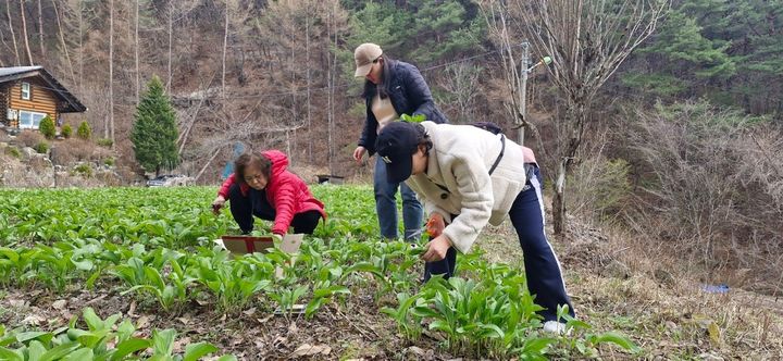 강원에서 살아보기 체험 모습. *재판매 및 DB 금지