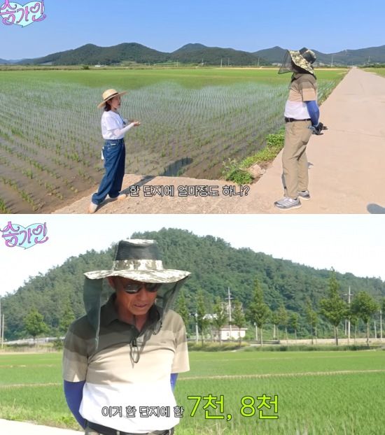 [서울=뉴시스] 가수 송가인이 고향 진도의 논밭을 공개하며 "우리 집이 땅부자였다"고 너스레를 떨었다. (사진=유튜브 채널 '송가인' 캡처) 2025.07.21. photo@newsis.com  *재판매 및 DB 금지