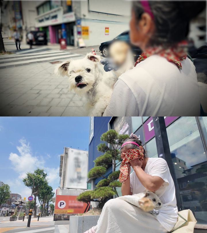 [서울=뉴시스] 오는 22일 오후 10시 40분 방송하는 JTBC 예능 프로그램 '아무도 몰랐던, 비하인드'에서는 '죽은 개를 안고 다니는 여성'을 파헤친다. (사진=JTBC '아무도 몰랐던, 비하인드' 제공) 2025.07.21. photo@newsis.com *재판매 및 DB 금지