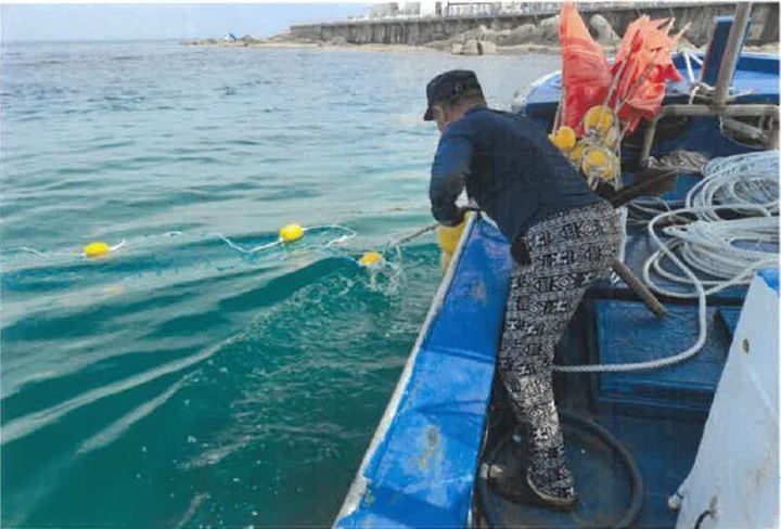 [춘천=뉴시스] 21일 강원특별자치도(도지사 김진태)는 해수 온도 상승으로 해파리와 상어 등 유해 생물의 해수욕장 출현이 증가함에 따라, 도내 주요 해수욕장을 대상으로 유해생물 방지망 설치 사업을 본격 추진한다 고 밝혔다. 강원특별자치도 제공. *재판매 및 DB 금지