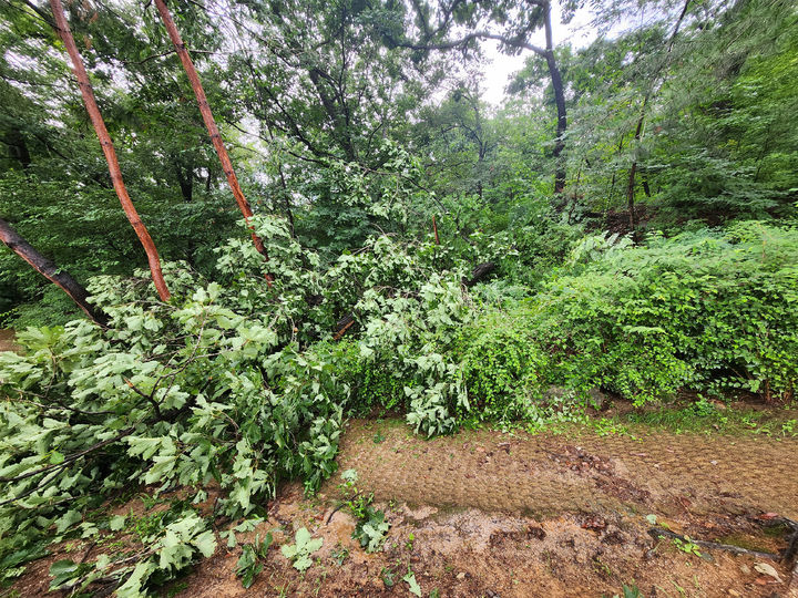 [서울=뉴시스] 정릉 (사진=국가유산청 제공) 2025.07.21. photo@newsis.com *재판매 및 DB 금지
