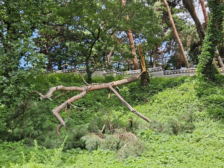 [서울=뉴시스] 홍릉과 유릉 (사진=국가유산청 제공) 2025.07.21. photo@newsis.com *재판매 및 DB 금지
