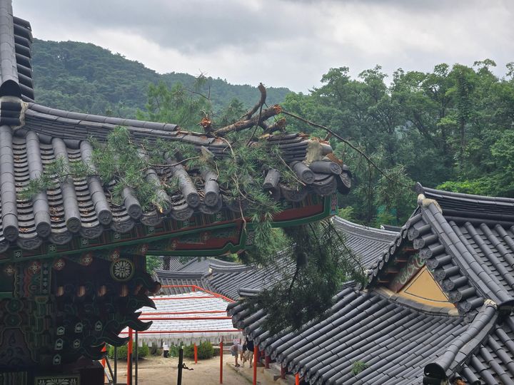 [서울=뉴시스] 남양주 봉선사 (사진=국가유산청 제공) 2025.07.21. photo@newsis.com *재판매 및 DB 금지