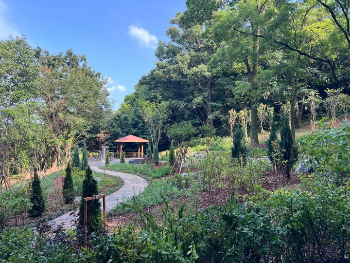 [서울=뉴시스] 고덕산 일대 정비 후. 2025.07.21. (사진=강동구 제공) *재판매 및 DB 금지