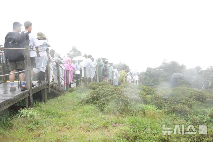 [제주=뉴시스] 양영전 기자 = 21일 오후 2025 제주 국가유산 방문의 해 시즌 '제주의 자연' 프로그램 중 하나인 한라산 비공개 구간 백록샘 탐방 참가자들이 탐방로를 벗어나 백록샘으로 향하고 있다. 2025.07.21. 0jeoni@newsis.com