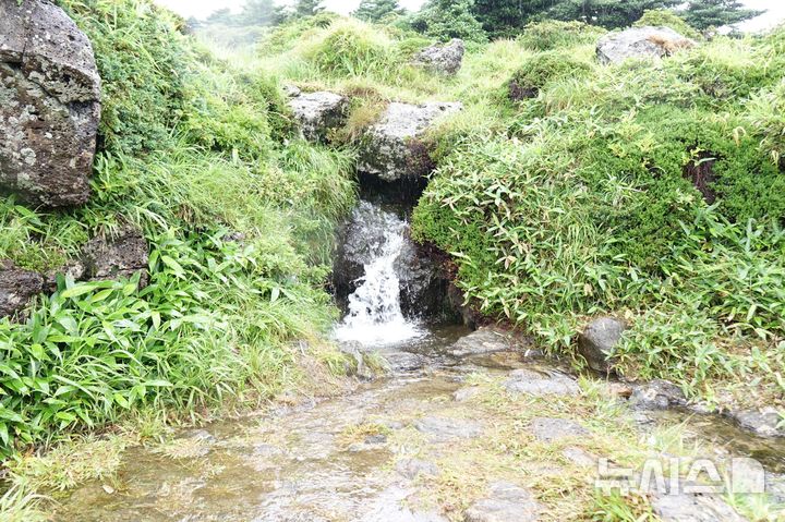 [제주=뉴시스] 양영전 기자 = 21일 오후 2025 제주 국가유산 방문의 해 시즌 '제주의 자연' 프로그램 중 하나인 한라산 비공개 구간 백록샘 탐방으로 모습을 드러낸 백록샘. 2025.07.21. 0jeoni@newsis.com