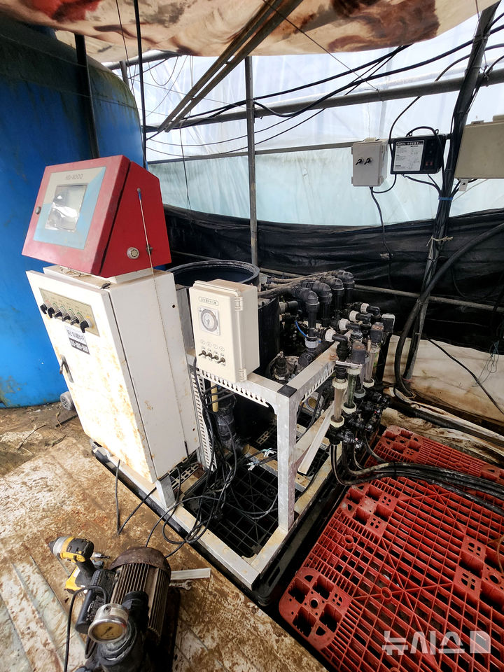 전남 나주에 지난 17일 역대급 폭우가 쏟아진 가운데 [나주=뉴시스] 나주 이창동 대기들 배수펌프 가동 지연으로 18일 오전 시설하우스가 침수돼 양액 공급장치 등 전기설비가 작동 불능상태가 됐다. 2025.07.21. (사진=독자 제공) photo@newsis.com *재판매 및 DB 금지