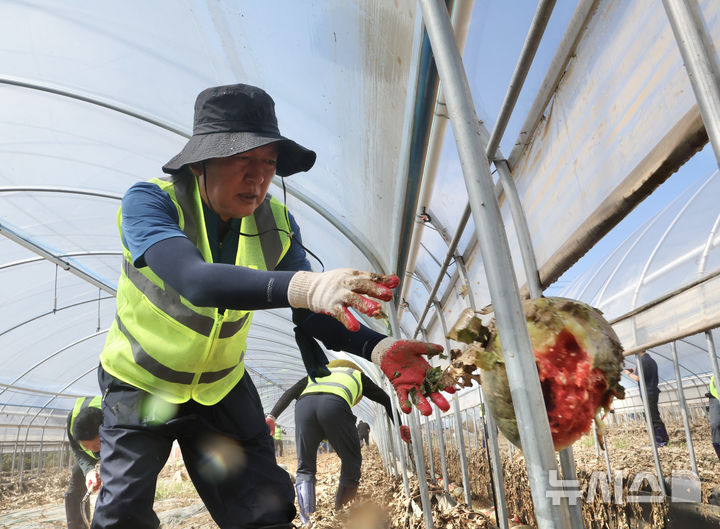 [예산=뉴시스] 김명년 기자 = 정청래 더불어민주당 당대표 후보가 21일 충남 예산군 신암면 조곡리 수해 피해 수박 시설하우스에서 복구작업을 하고 있다. 2025.07.21. kmn@newsis.com