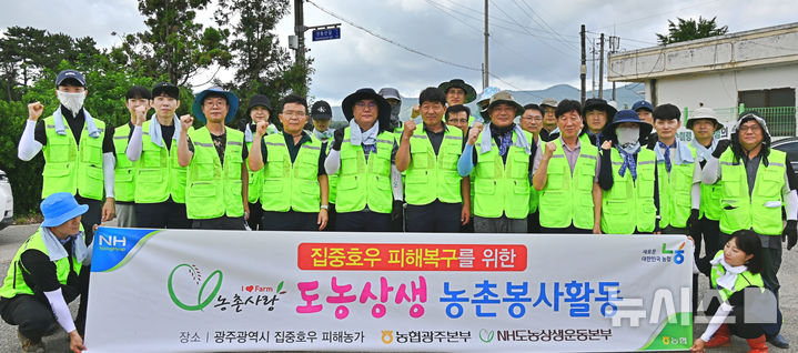 농협 광주본부는 21일 광산구 삼도농협 관내 침수 피해를 입은 방울토마토 시설하우스 농가를 찾아 수해복구 일손 돕기를 펼쳤다. (사진=농협 광주본부 제공) photo@newsis.com *재판매 및 DB 금지
