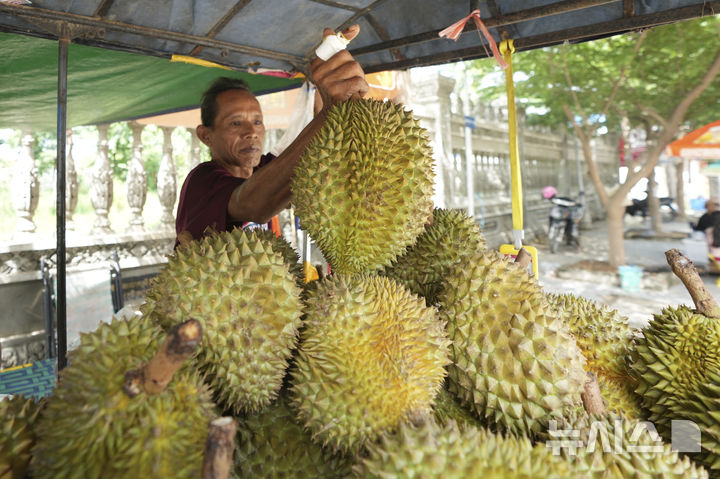 [프놈펜=AP/뉴시스] 캄보디아 프놈펜 외곽의 추크 바르 마을에서 한 노점상이 두리안을 들어보이고 있다. 2025.07.22.