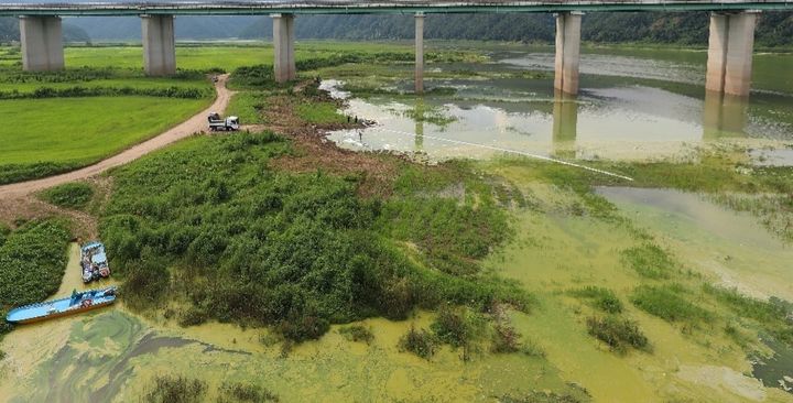 [춘천=뉴시스] 22일 강원특별자치도(도지사 김진태)는 여름철 골칫거리인 녹조발생에 선제적 대응에 나선다 고 밝혔다. .사진은 지난해 소양호 상류 인제지역 녹조 상황.&nbsp; 인제군 제공.&nbsp; *재판매 및 DB 금지