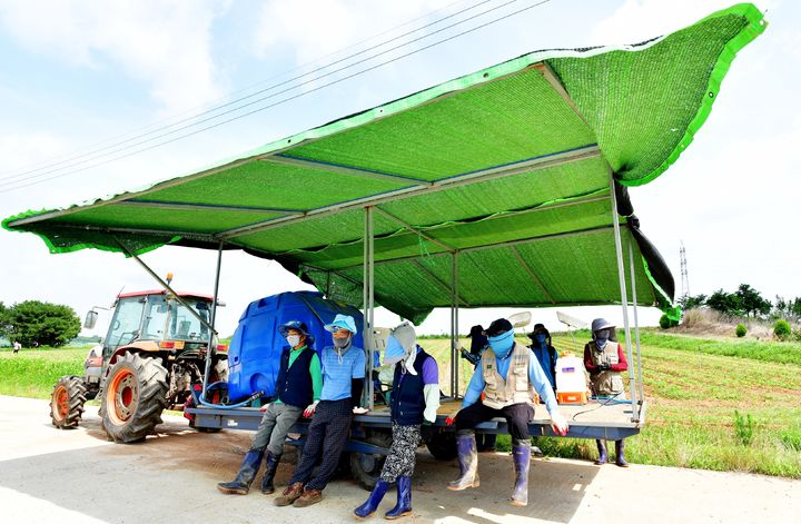 [무안=뉴시스] 전남종자관리소가 자체 제작해 운용중인 이동식 그늘막 쉼터. (사진 제공 = 전남도). 2025.07.22. photo@newsis.com *재판매 및 DB 금지