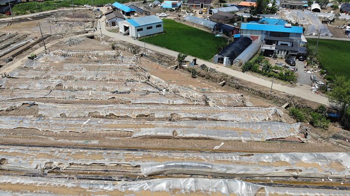 [예산=뉴시스] 예산군 삽교읍 일대 비닐 하우스가 폭우와 강풍을 견디지 못하고 엿가락처럼 휘어져 있다.&nbsp; *재판매 및 DB 금지