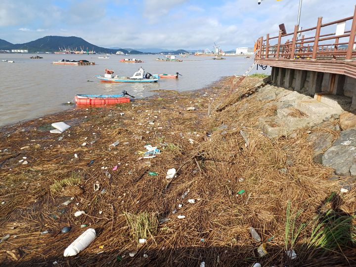 [목포=뉴시스]목포 앞바다에 쌓인 해양쓰레기. (사진=목포시 제공) 2025.07.22. photo@newsis.com *재판매 및 DB 금지