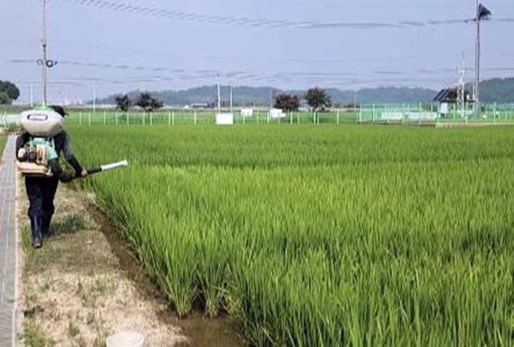 (사진=군산시 제공) *재판매 및 DB 금지