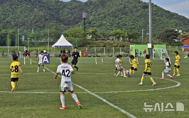 경주 화랑대기 유소년축구대회  