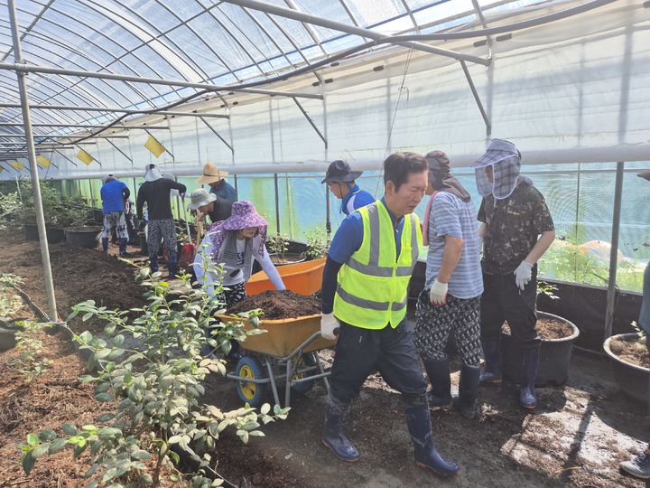 정청래 더불어민주당 당 대표 후보가 22일 전남 나주시 다시면 신광리에 위치한 블루베리 농장에서 수해 복구 작업을 진행하고 있다. (사진=남정현 기자) *재판매 및 DB 금지